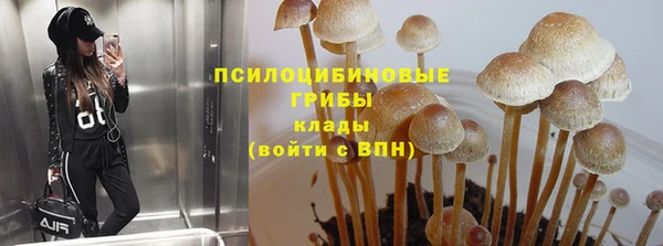таблы Аркадак