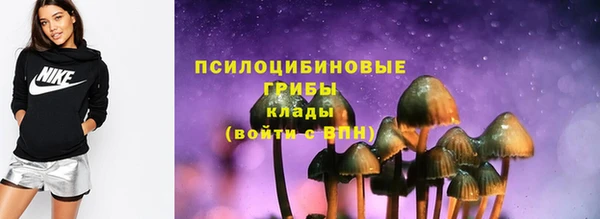 прущий лед Армянск