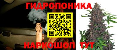2c-b Ставрополь