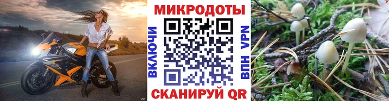 Галлюциногенные грибы Magic Shrooms  Армавир 
