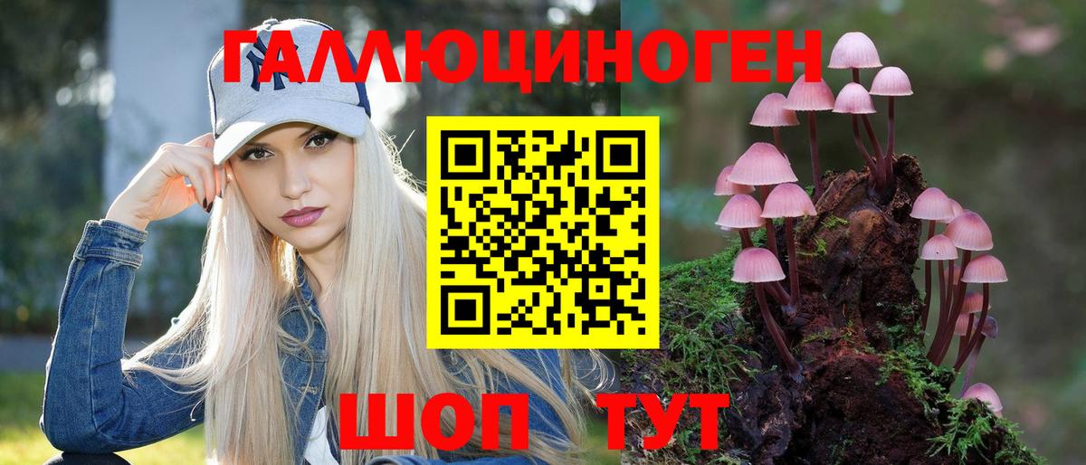 Псилоцибиновые грибы мухоморы Армавир