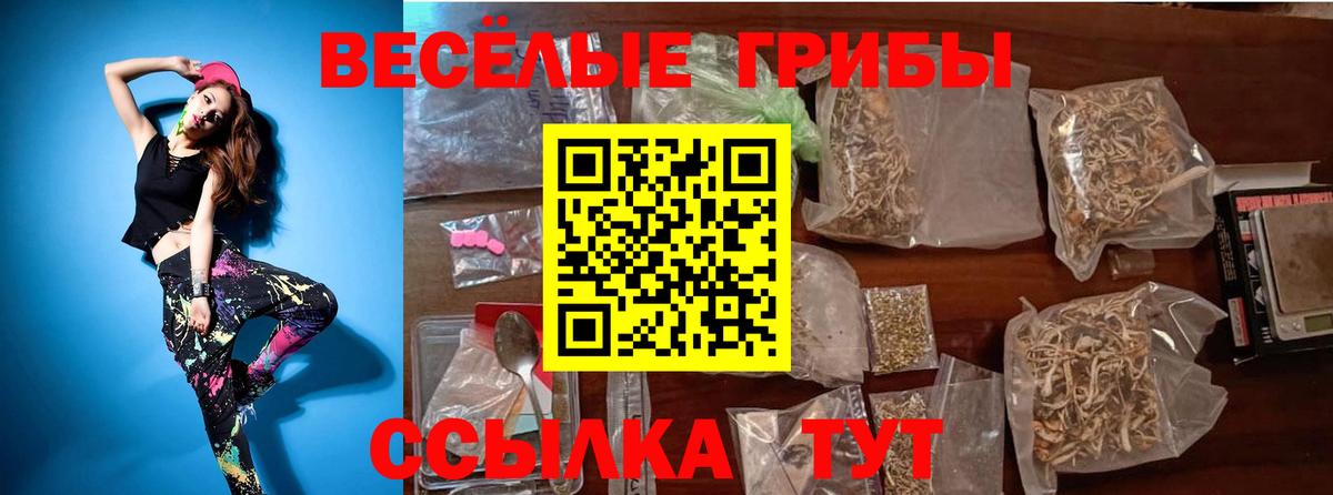 Галлюциногенные грибы мицелий  Вход с VPN  Армавир  Псилоцибиновые грибы Magic Shrooms 