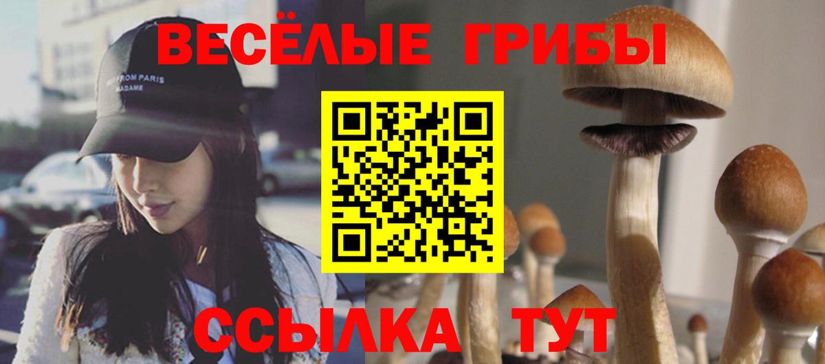 Галлюциногенные грибы ЛСД Армавир